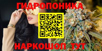 скорость Дубна