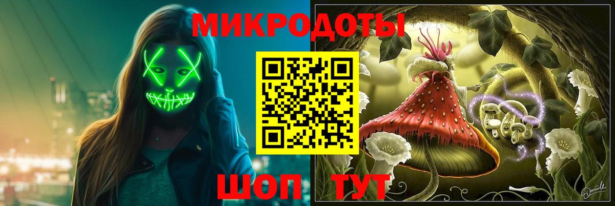 Галлюциногенные грибы Psilocybe Лабинск